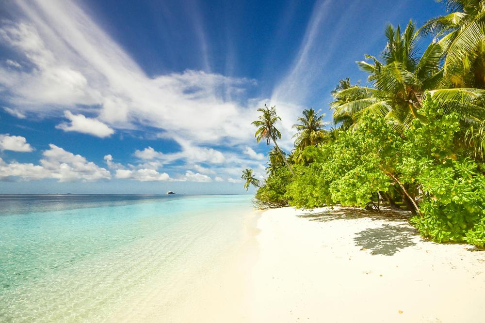 beach paradise
